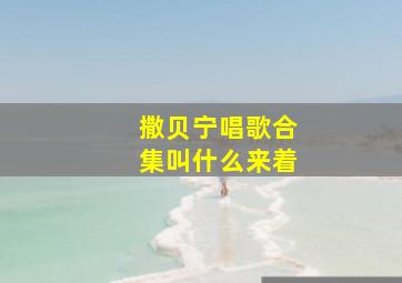 撒贝宁唱歌合集叫什么来着