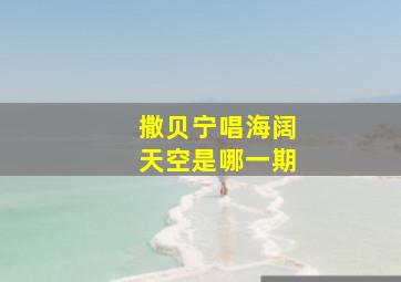 撒贝宁唱海阔天空是哪一期