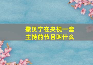 撒贝宁在央视一套主持的节目叫什么