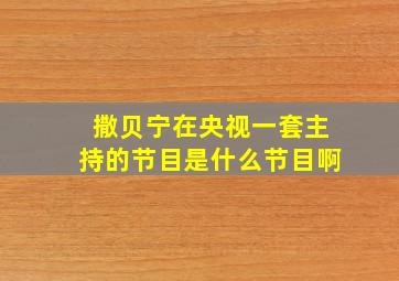 撒贝宁在央视一套主持的节目是什么节目啊