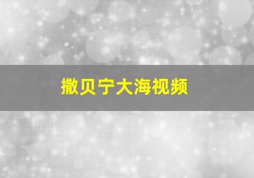 撒贝宁大海视频