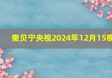 撒贝宁央视2024年12月15晚