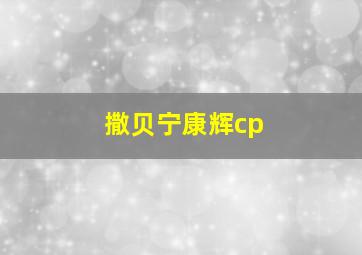 撒贝宁康辉cp