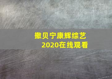 撒贝宁康辉综艺2020在线观看