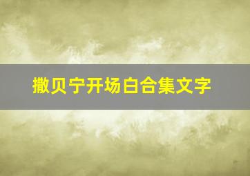 撒贝宁开场白合集文字