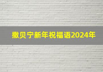 撒贝宁新年祝福语2024年