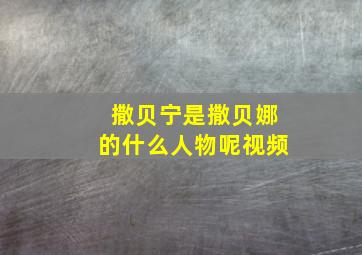 撒贝宁是撒贝娜的什么人物呢视频