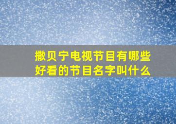 撒贝宁电视节目有哪些好看的节目名字叫什么