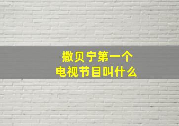 撒贝宁第一个电视节目叫什么