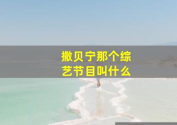 撒贝宁那个综艺节目叫什么