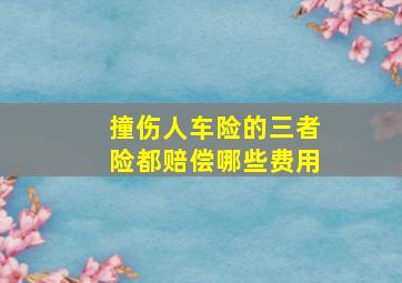 撞伤人车险的三者险都赔偿哪些费用