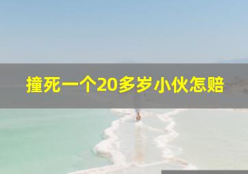 撞死一个20多岁小伙怎赔