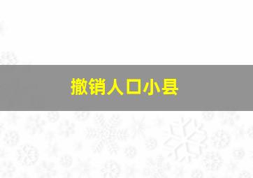 撤销人口小县