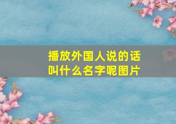 播放外国人说的话叫什么名字呢图片