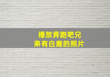 播放奔跑吧兄弟有白鹿的照片