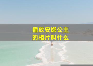 播放安娜公主的相片叫什么