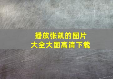 播放张凯的图片大全大图高清下载