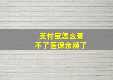 支付宝怎么查不了医保余额了