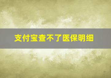 支付宝查不了医保明细