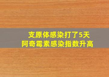 支原体感染打了5天阿奇霉素感染指数升高