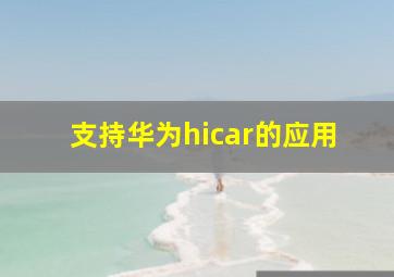 支持华为hicar的应用