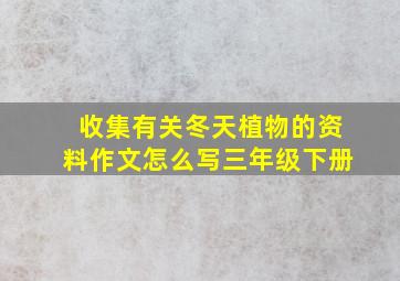 收集有关冬天植物的资料作文怎么写三年级下册