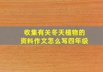 收集有关冬天植物的资料作文怎么写四年级