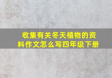 收集有关冬天植物的资料作文怎么写四年级下册