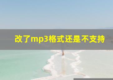 改了mp3格式还是不支持