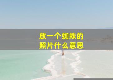 放一个蜘蛛的照片什么意思