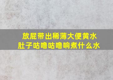 放屁带出稀薄大便黄水肚子咕噜咕噜响煮什么水