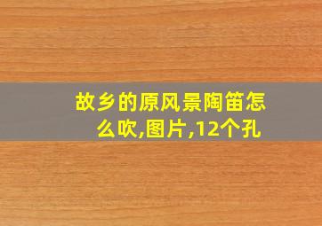 故乡的原风景陶笛怎么吹,图片,12个孔