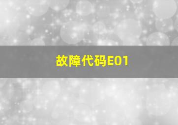 故障代码E01