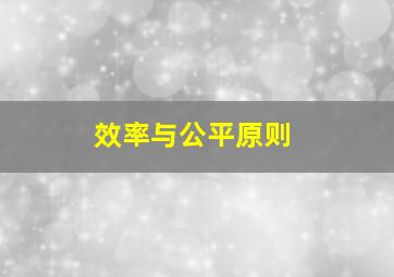 效率与公平原则