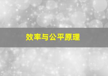 效率与公平原理