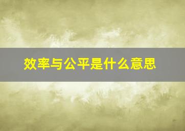 效率与公平是什么意思