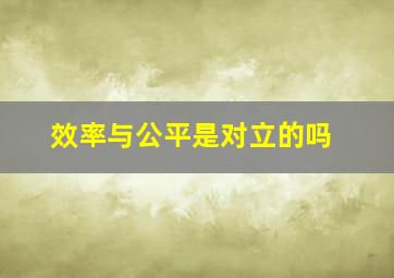 效率与公平是对立的吗