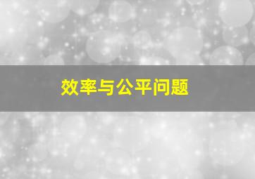 效率与公平问题