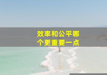 效率和公平哪个更重要一点