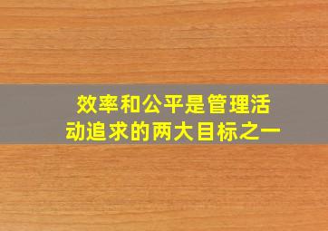 效率和公平是管理活动追求的两大目标之一