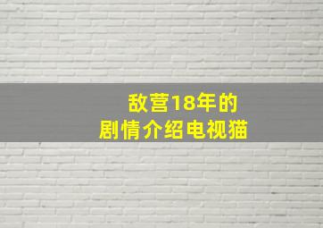 敌营18年的剧情介绍电视猫