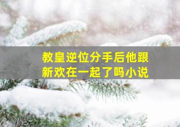 教皇逆位分手后他跟新欢在一起了吗小说