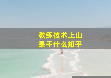 教练技术上山是干什么知乎