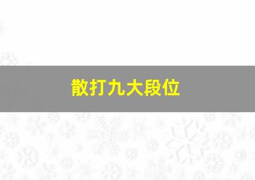 散打九大段位