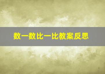 数一数比一比教案反思