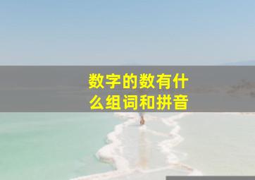 数字的数有什么组词和拼音