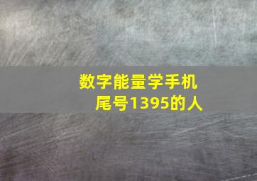 数字能量学手机尾号1395的人