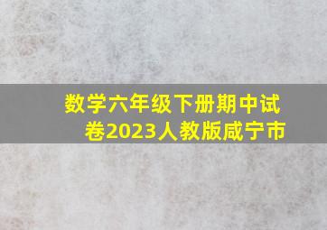 数学六年级下册期中试卷2023人教版咸宁市