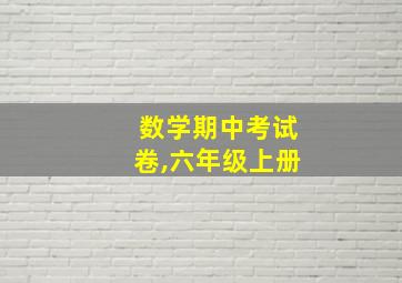 数学期中考试卷,六年级上册