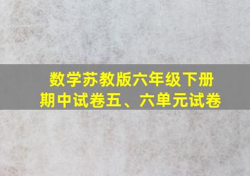 数学苏教版六年级下册期中试卷五、六单元试卷